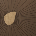 Laminated Door (DL-7209)